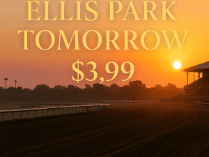 Ellis for Tomorrow – Expert Picks $3.99